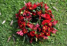 Freedom fighters saluted