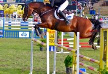 State event gets the joint jumping