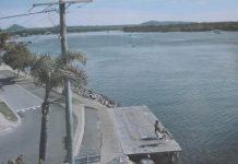 Driscoll piers… home to roost