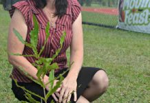 Tree tribute to a rare soul