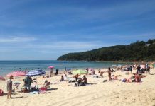 Have your say in driving Noosa forward
