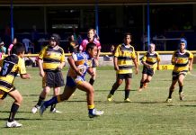 Pirates plunder Sharks nest