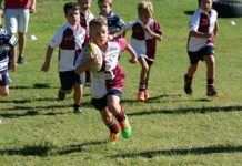 Dolphins make a splash