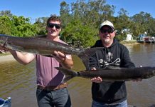 Cool weather classics