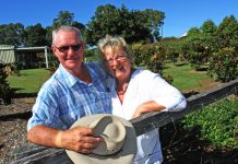 Eclectic mix at No Worries