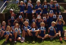 Shark fears are toast