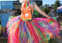 Fairy Raine from Fairy Lane?