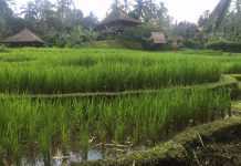 Paradise at the end of the road