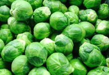 Kale and hearty — Brussels sprouts