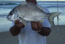 Cool weather brings on fish