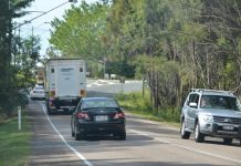 Congestion in the hands of… rabbits