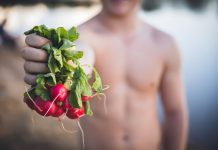 Cookbook gets back to the bare basics