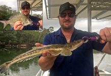 Sensational river fishing