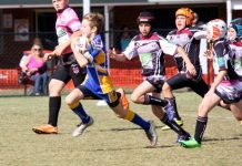 Tries abound, seven for Bailey