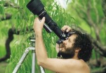 Oz images beyond compare