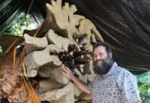 Floating land sculptures in horizon