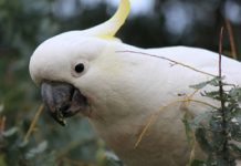 A little goes a long way