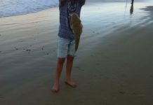 Weather puts the wind up anglers