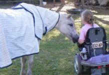 The ride of their lives