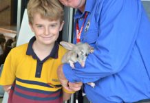 New lease of life for bilbies