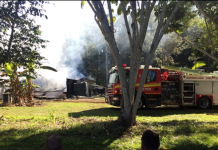Home and shed lost in fire