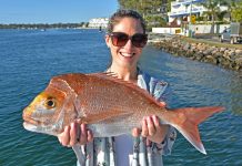 Noosa has been fishing a treat