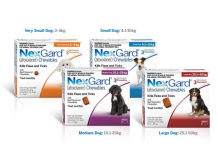 Preventing ticks, fleas outbreak