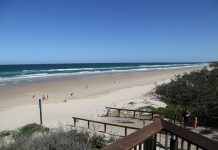 Surf’s up for network connection