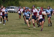 Dolphins get their act together