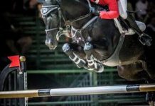 Olympian takes a leap