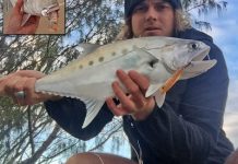 Surface fishing – way to go