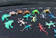 Lenscape’s leapin’ lizard