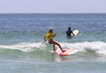 Get on board for Festival