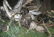 Three survive horror smash