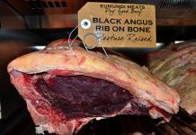 Time brings a tender change