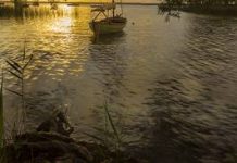 Art captures Noosa’s natural qualities