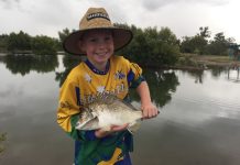Great season continues for bream