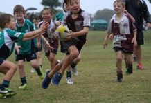 Fins finish with a draw