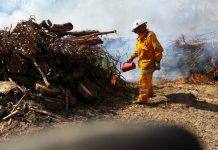 Planned burns to reduce fuel