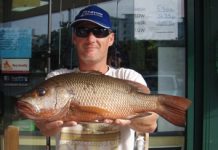 Great hauls for bigger boats