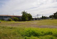 Development is food for thought