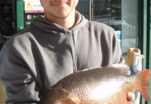 Rain flushes out fish