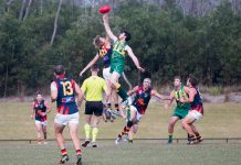 Tigers effort showed