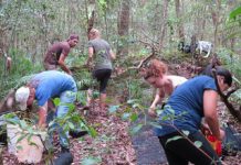 Fauna survey uncovers rare snake
