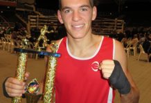 Bryce – a prized boxer