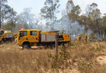 In the heat of the action