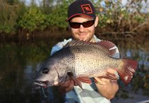 Plenty of variety on the river