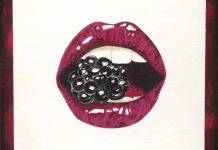 Stocker’s solo show puts Lips on display