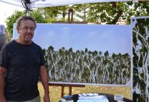 Trees popular choice for Peregian’s ‘big canvas’