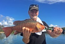 Warmer weather means fish on the bite